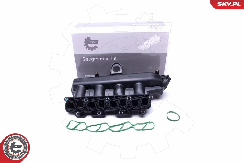 Intake Manifold Module